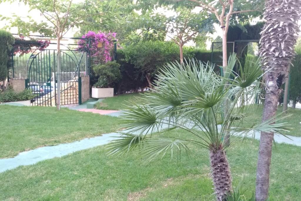 Apartamento Moderno Benidorm Buitenkant foto